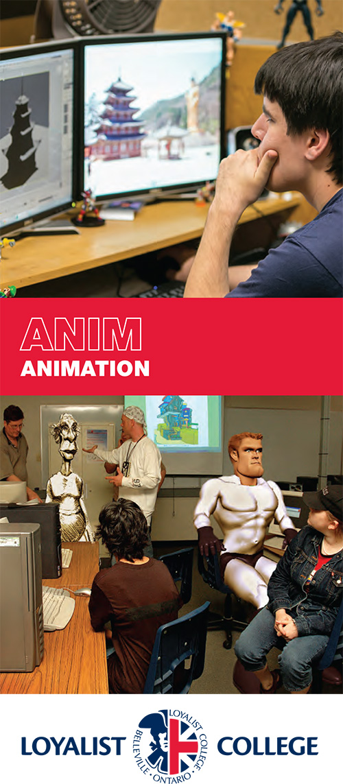 Animation brochure, 2014