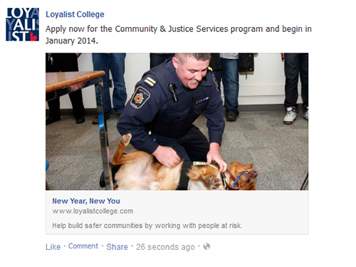 Facebook: January Start Campaign, October 31, 2013 – January 4, 2014 (CJSW)