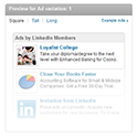 LinkedIn: Post-Grad Campaign, December 20, 2013 – January 31, 2014 (EBFC)