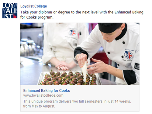 Facebook: Post-Grad Campaign, December 20, 2013 – January 31, 2014 (EBFC)