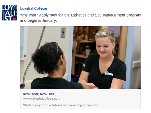 Facebook: January Start Campaign, October 31, 2013 – January 4, 2014 (ESTH)