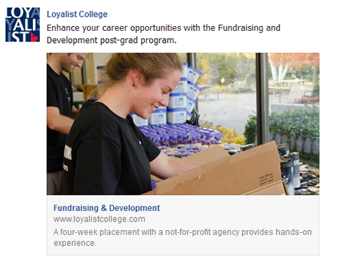 Facebook: Post-Grad Campaign, December 20, 2013 – January 31, 2014 (FDPG)