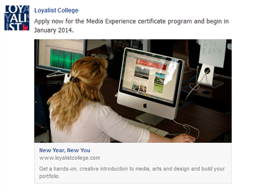 Facebook: January Start Campaign, October 31, 2013 – January 4, 2014 (MECP)