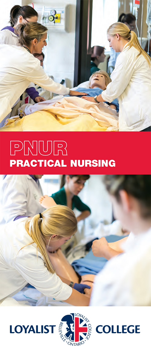 Practical Nursing brochure, 2014
