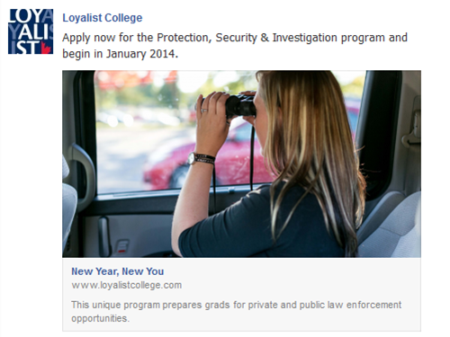 Facebook: January Start Campaign, October 31, 2013 – January 4, 2014 (PSIN)