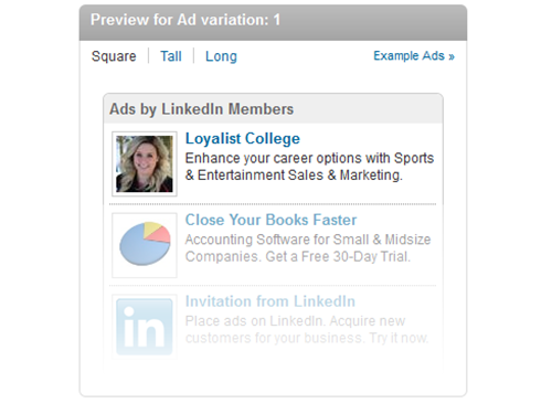 LinkedIn: Post-Grad Campaign, December 20, 2013 – January 31, 2014 (SESM)