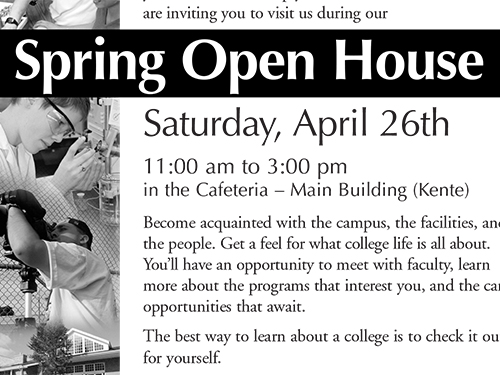 Spring Open House Napanee/Picton Ad April 2003