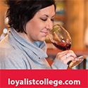 We Put You To Work – Visitor’s Guide – March 2015