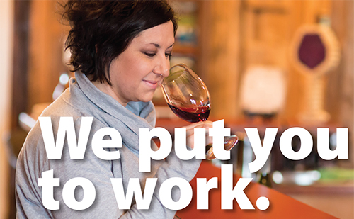 We Put You To Work – Belleville Chamber Visitors Guide – March 2015